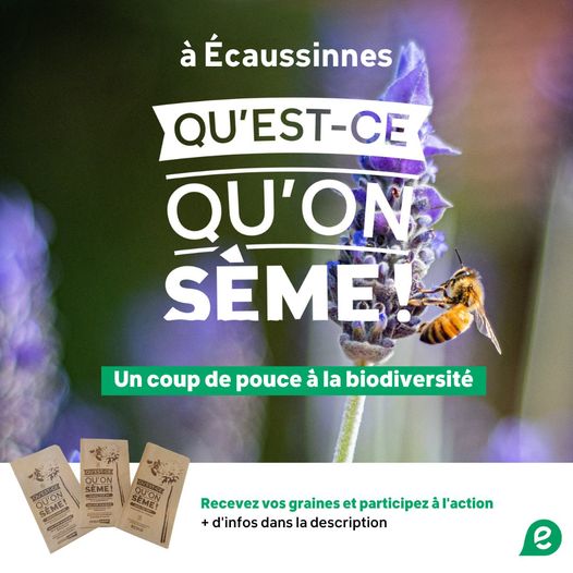 questcequonseme2021